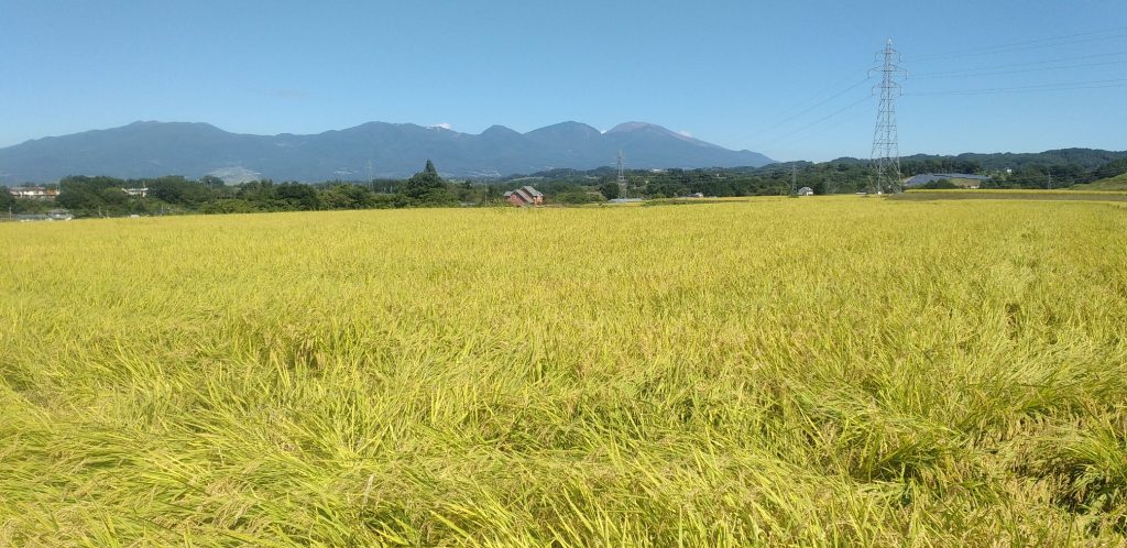 ５．浦上原天　キノコ雲からさあもう一度　長崎原爆　クリエイティブメディア出版　クリエイターズワールド　